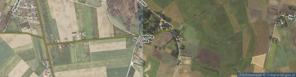 Zdjęcie satelitarne Srebrna Góra ul.